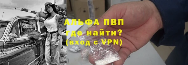 прущие грибы Богородск
