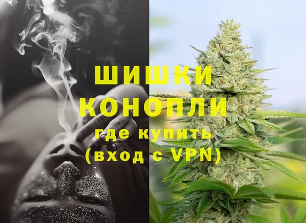 прущие грибы Богородск