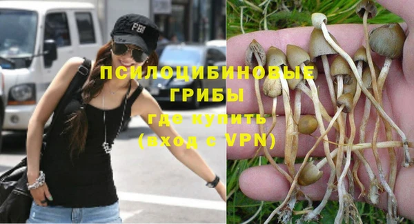 героин Богданович