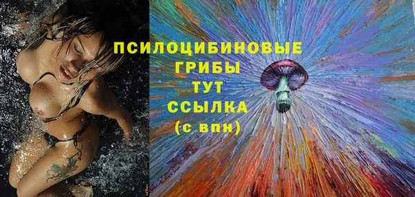 героин Богданович