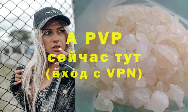 прущие грибы Богородск