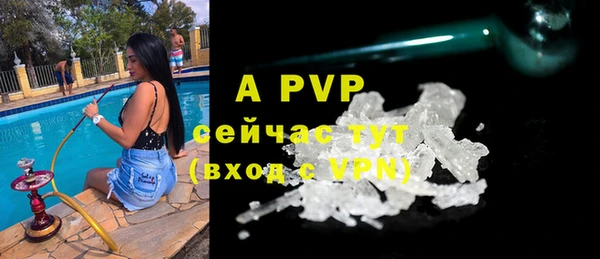 героин Богданович